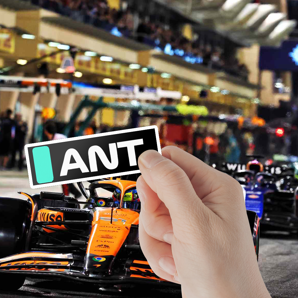 F1 2025 Driver Tag Sticker Bundle