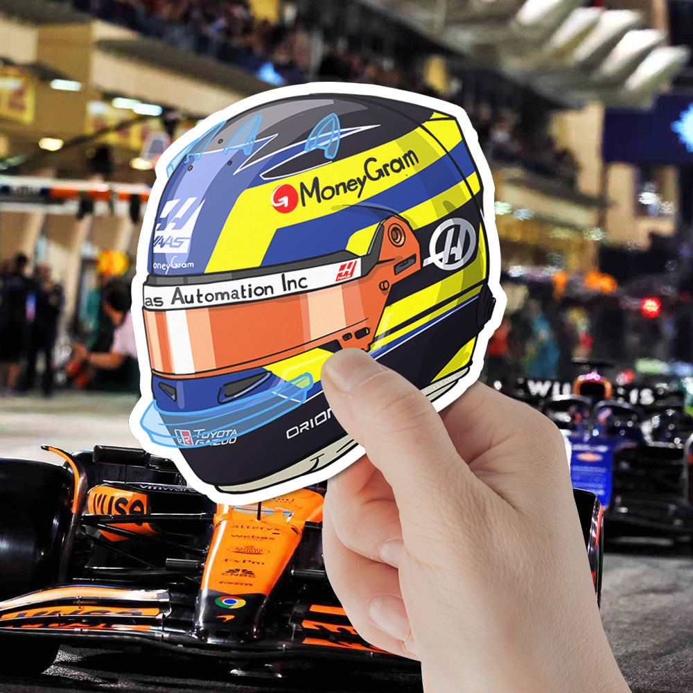F1 HAAS Team Bundle 8