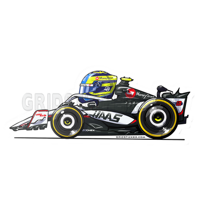 F1 HAAS Team Bundle 8