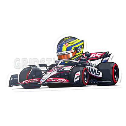 F1 HAAS Team Bundle 8