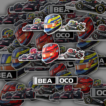 F1 HAAS Team Bundle 8