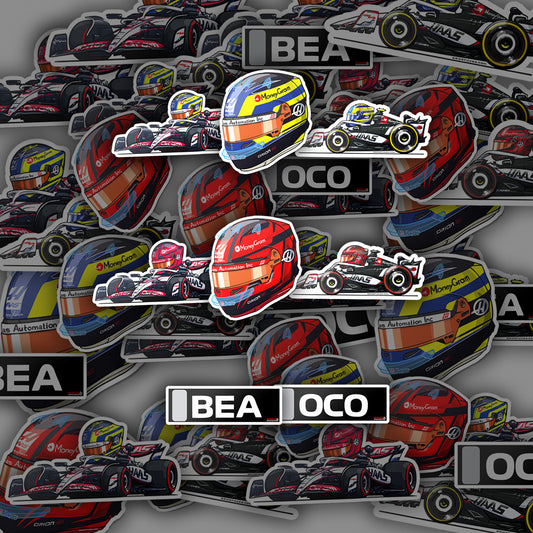 F1 HAAS Team Bundle 8